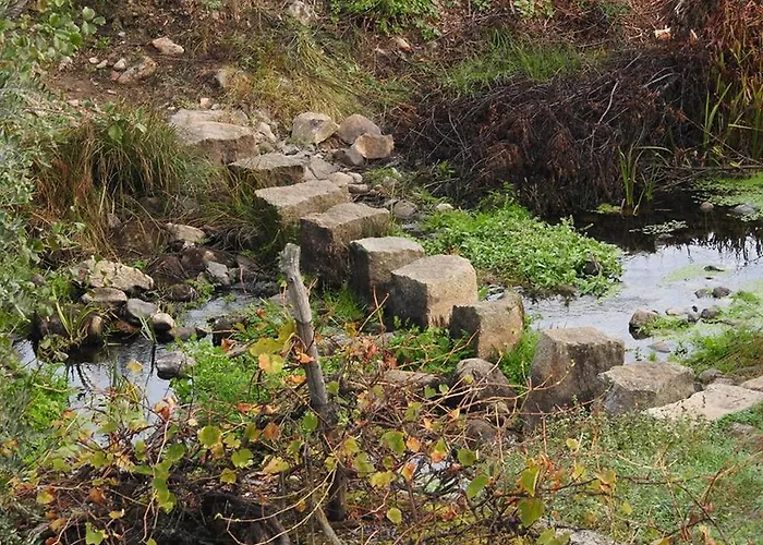 Quinta Do Mineiro-serra Da Estrela Matanca